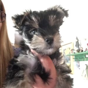 Meet your Posher, Heidi