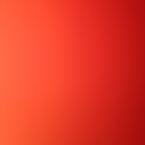 Meet your Posher, Noel