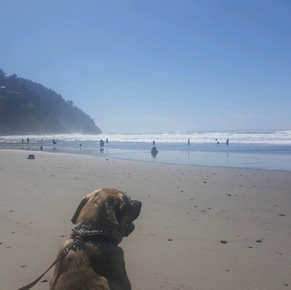 Meet your Posher, Kellie