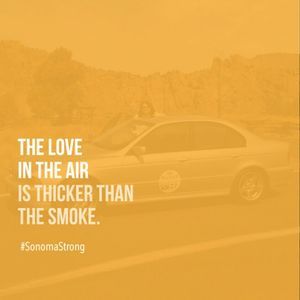 Meet your Posher, Teri