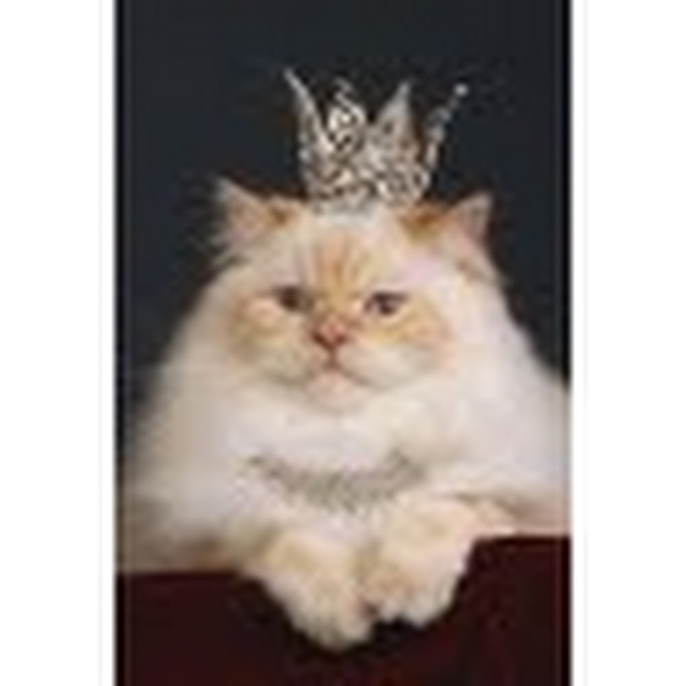 Meet your Posher, Desiree