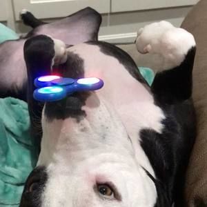 Meet your Posher, Justine