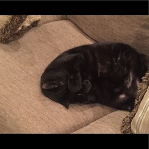 Meet your Posher, Carla