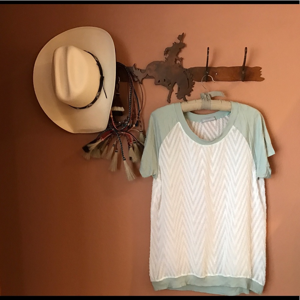 Olivia Moon Chiffon Raglan top. Medium