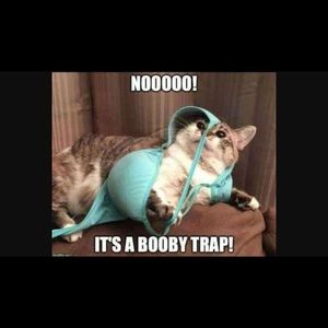 Meet your Posher, Mark