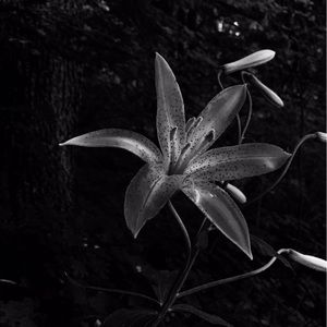 Meet your Posher, Caleb