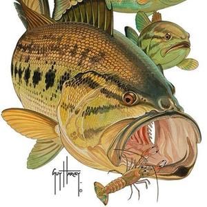 Meet your Posher, Wade