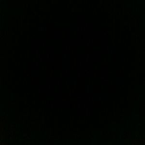 Meet your Posher, Dexter