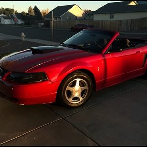 Meet your Posher, Steven