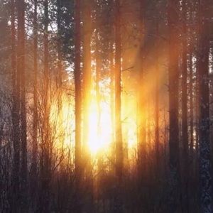 Meet your Posher, Marilyn