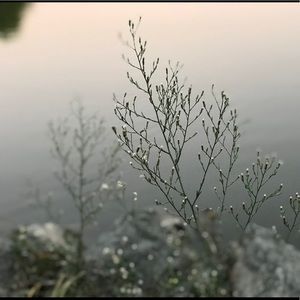 Meet your Posher, Ann