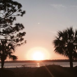 Meet your Posher, Annie