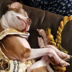 Meet your Posher, Gwen