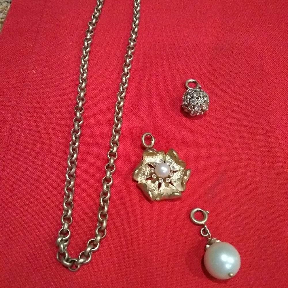 Stella & Dot Interchangeable Charm Necklace - image 5