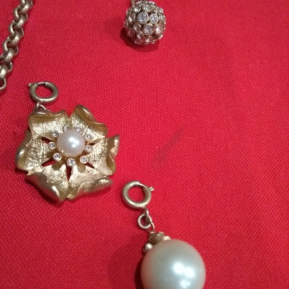 Stella & Dot Interchangeable Charm Necklace - image 8