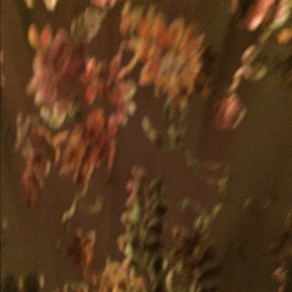 Allison Taylor shirt