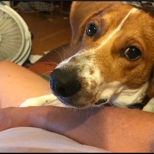 Meet your Posher, Elissa