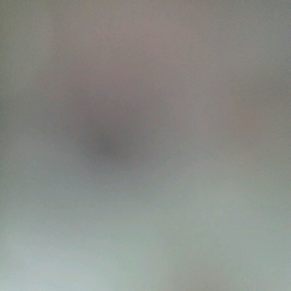 Meet your Posher, Donald