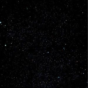 Meet your Posher, Al