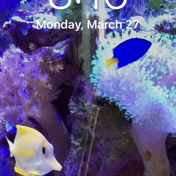 Posh Ambassador, Top Rated Seller & Posh Mentor - Picture 2 of 4