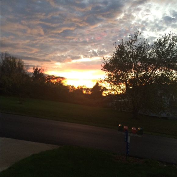 Posh Ambassador, Top Rated Seller & Posh Mentor - Picture 4 of 4