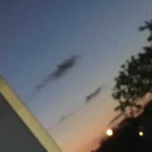 Meet your Posher, Jenny