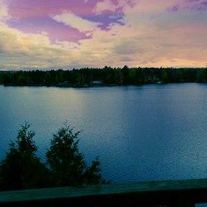 Meet your Posher, Caitlyn