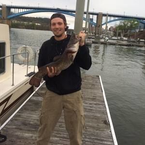 Meet your Posher, Tyler