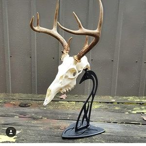 Meet your Posher, Todd