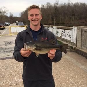 Meet your Posher, Greg