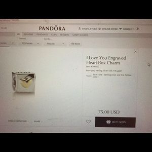 Pandora I love you charm