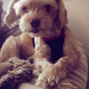 Meet your Posher, Michelle