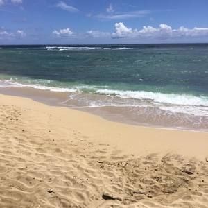 Meet your Posher, Bonifacio