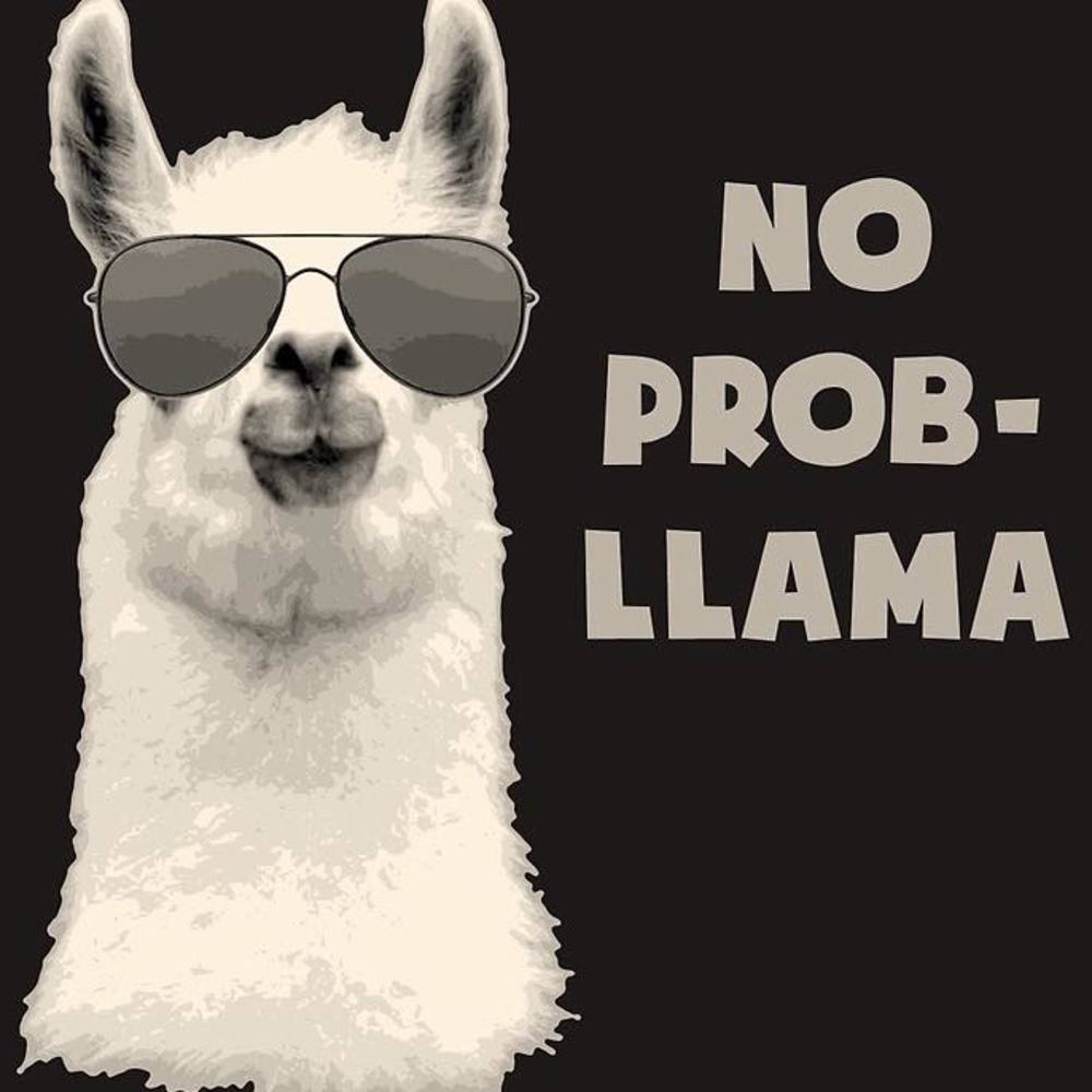 Meet your Posher, Alisha