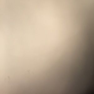 Meet your Posher, Abdul