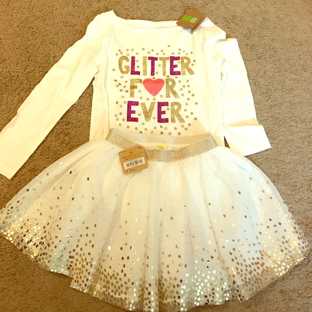 Crazy 8's long sleeve shirt and fun tulle skirt