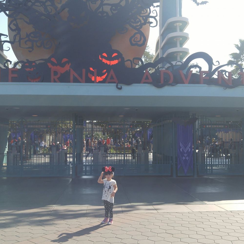 Meet your Posher, Fdrkou