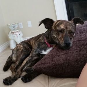 Meet your Posher, Alexandria