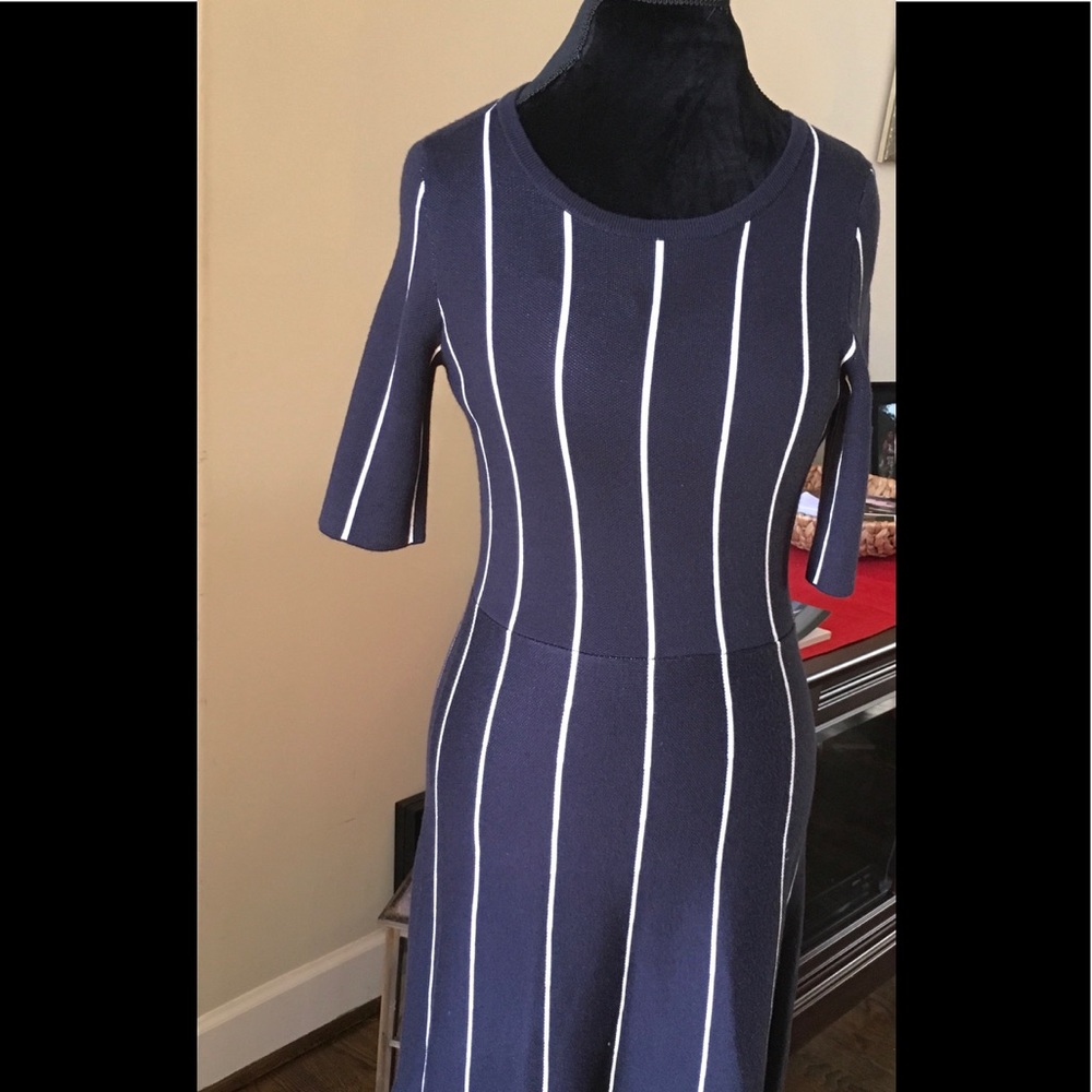 Ann Taylor Navy and White Knit Dress