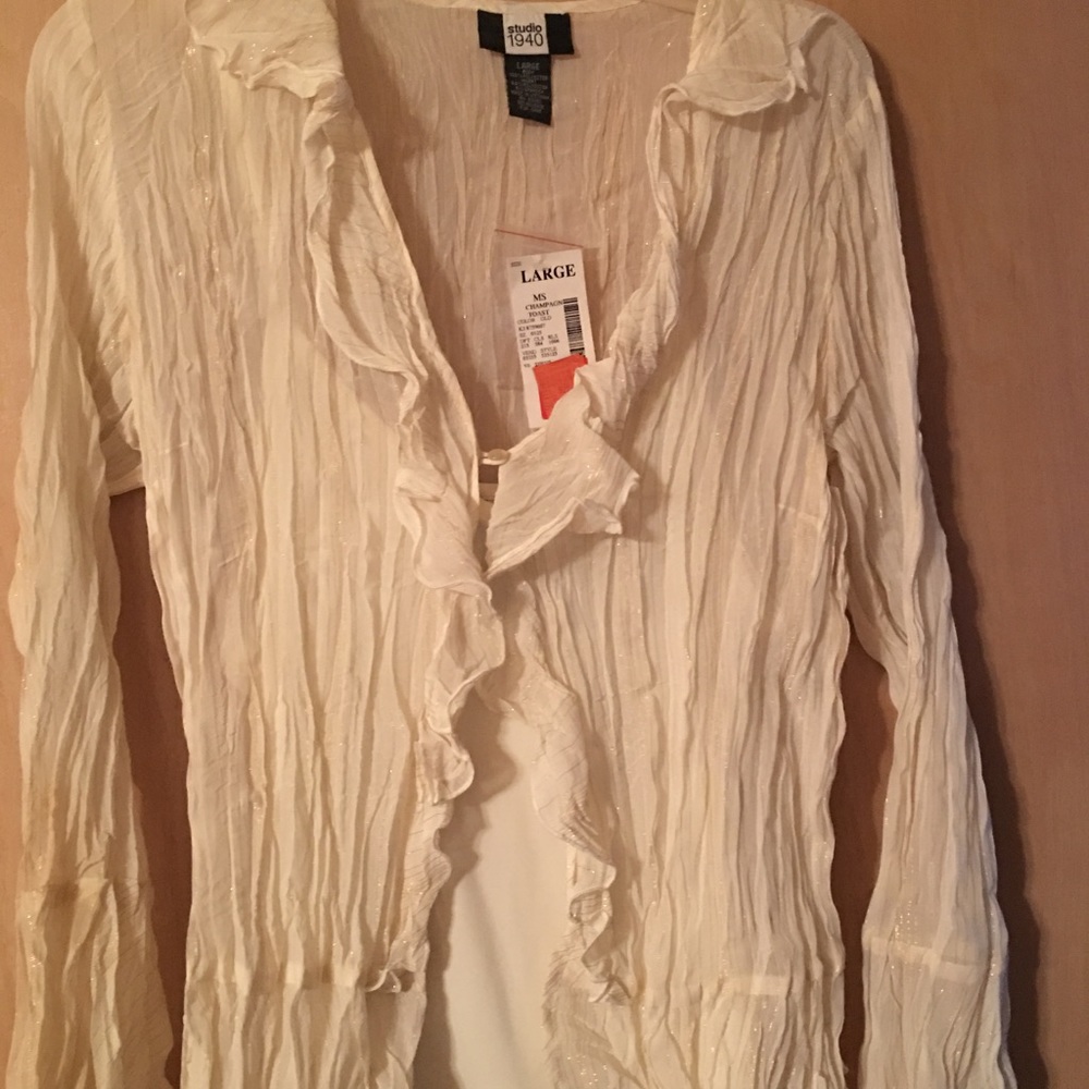 Elegant champagne and gold blouse