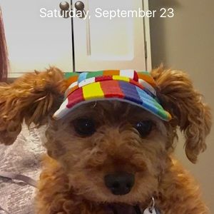 Meet your Posher, John