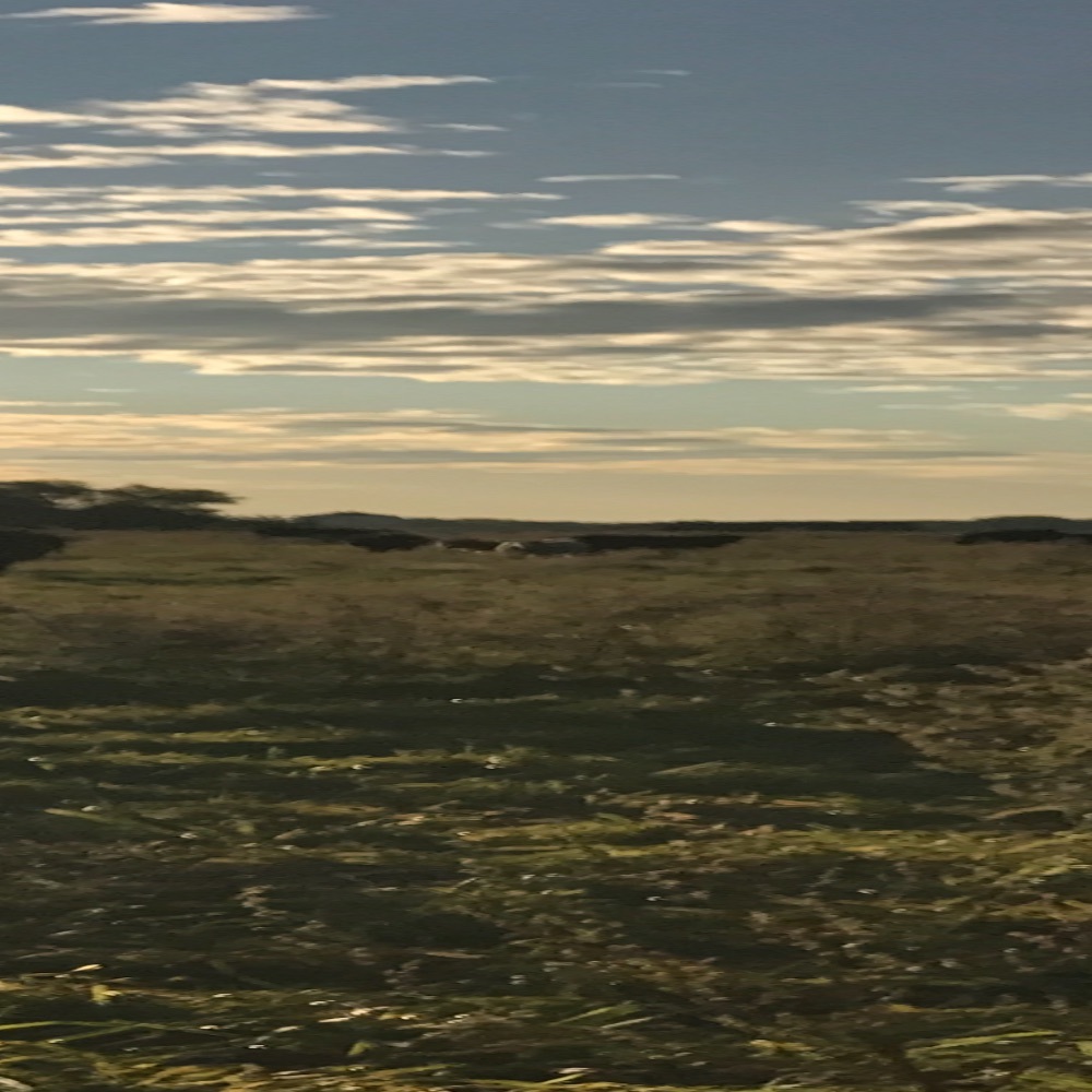 Meet your Posher, Meghann