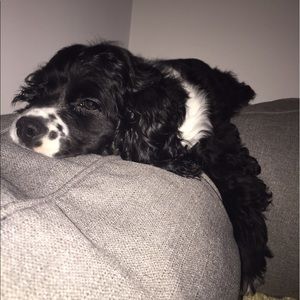 Meet your Posher, Tracey