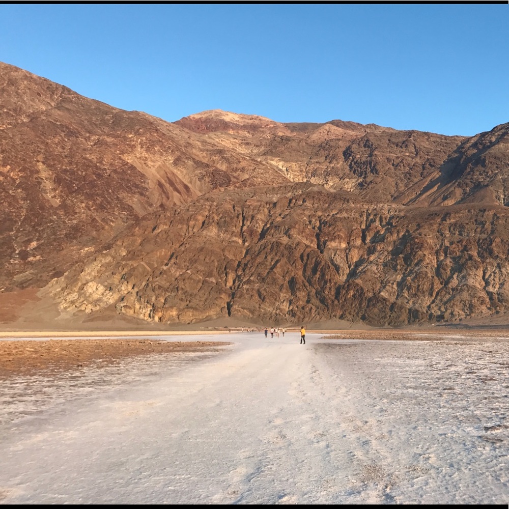 Meet your Posher, Nina