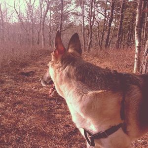 Meet your Posher, Ben