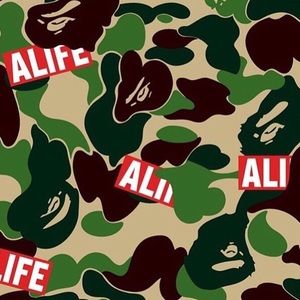 Meet your Posher, Ozzy