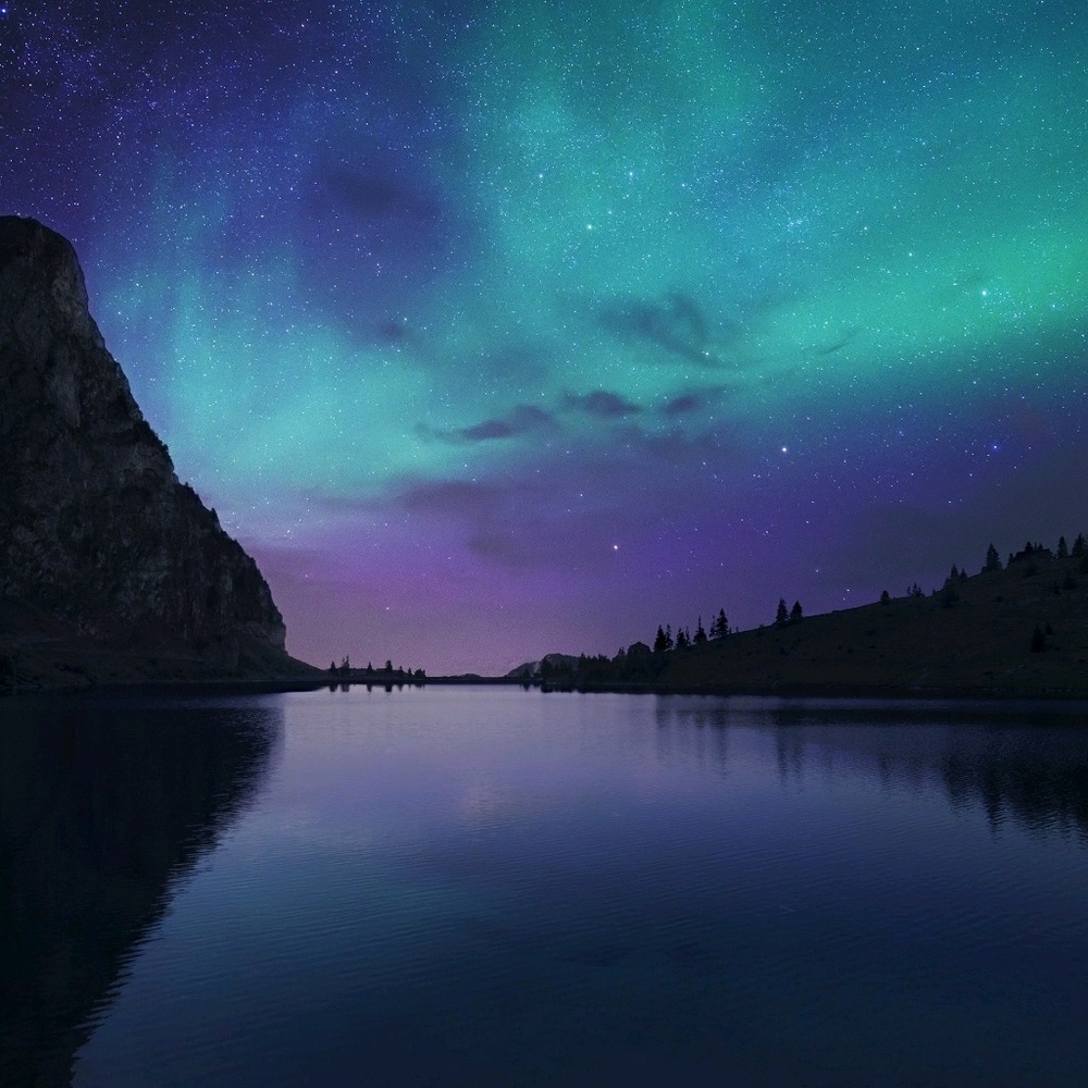 Meet your Posher, Erini