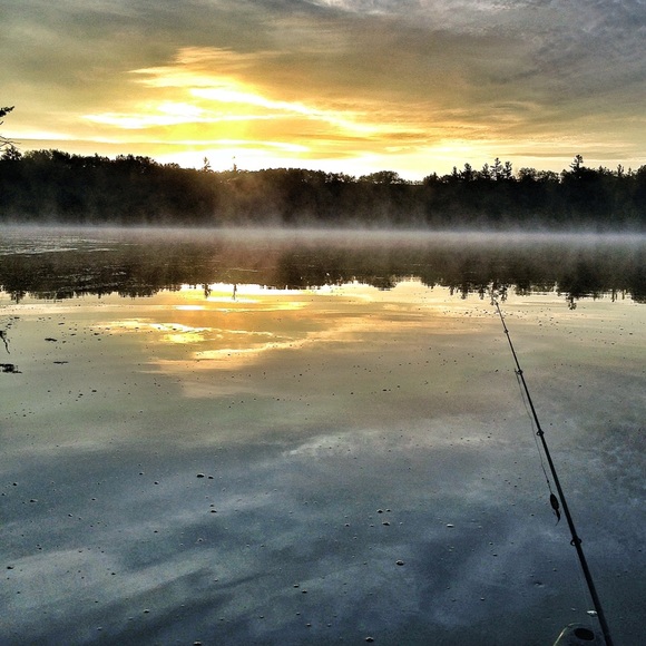 Meet your Posher, Matthew - Picture 1 of 1