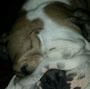 Meet your Posher, Cassandra