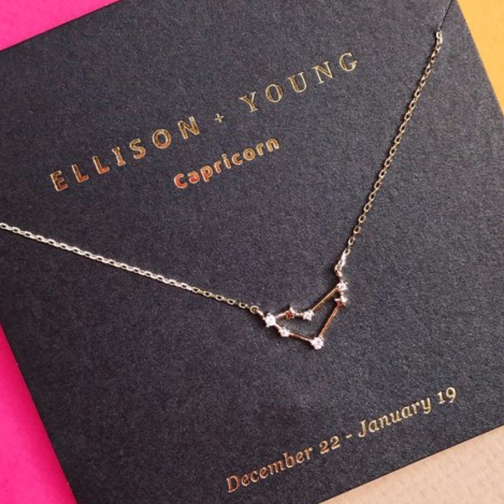 Zodiac Collection Capricorn Necklace
